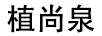 植尚泉