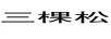 三棵松