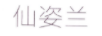 仙姿蘭（XIANZILAN）