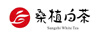 桑植白茶