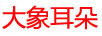 大象耳朵
