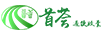 首薈