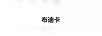 布迪卡