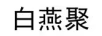 白燕聚