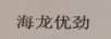 海龍優(yōu)勁