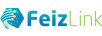 FEIZLINK