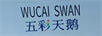 五彩天鵝