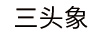 三頭象