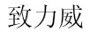 致力威（TOWEI）