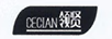 領(lǐng)賢（CECIAN）