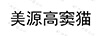 美源高竇貓