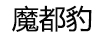 魔都豹