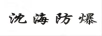 沈海防爆