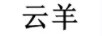云羊