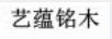 藝蘊(yùn)銘木