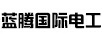 藍(lán)騰國際電工
