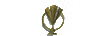 三個(gè)冠軍
