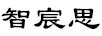 智宸思