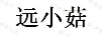 遠(yuǎn)小菇