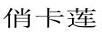 俏卡蓮