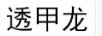 透甲龍