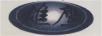 雄鷹