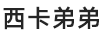 西卡弟弟