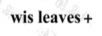 WIS LEAVES