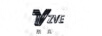 V ZVE浙真