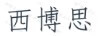 西博思