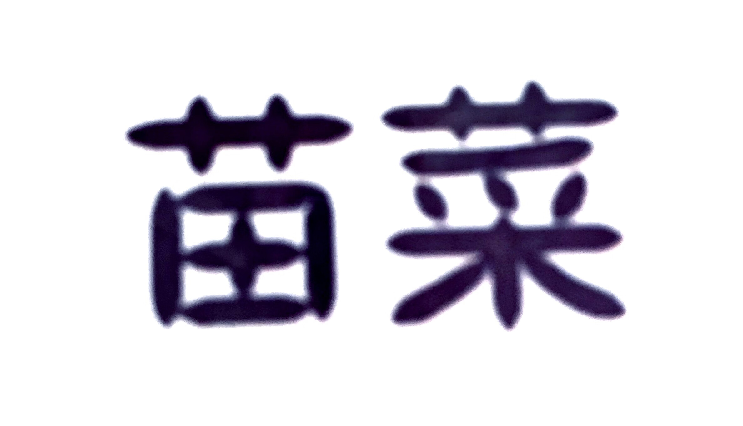 苗菜（miaocai）