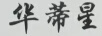 華蒂星