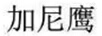 加尼鷹