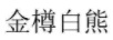 金樽白熊