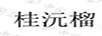 桂沅榴