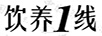 飲養(yǎng)1線