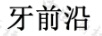 牙前沿