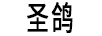 圣鴿