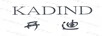 開迪（KADIND）