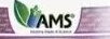 AMS