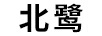 北鷺