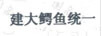 建大鱷魚統(tǒng)一