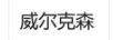 威爾克森
