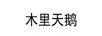 木里天鵝