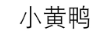 小黃鴨（YAYA DUCK）