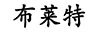 布萊特