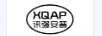 訊強(qiáng)安普（XQAP）