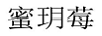 蜜玥莓
