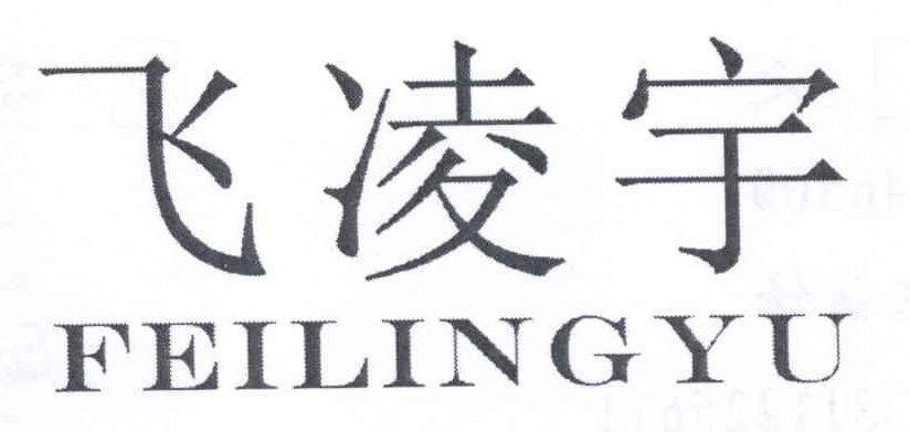 飛凌宇（FEILINGYU）