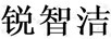銳智潔